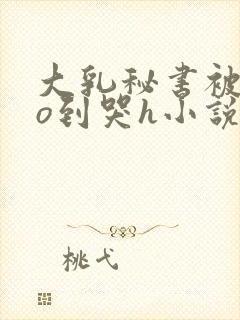 大乳秘书被cao到哭h小说
