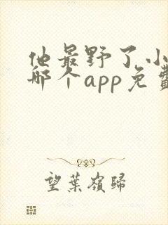 他最野了小说在哪个app免费阅读封面