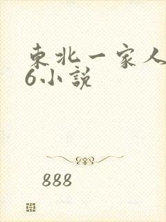 东北一家人1一6小说