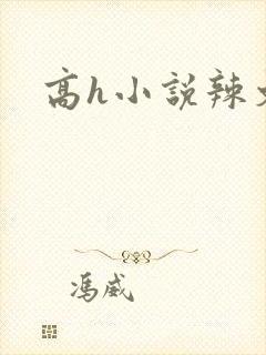 高h小说辣文