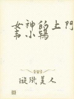 女神的上门贵婿韦小鸨