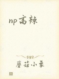 np高辣