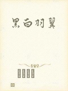 黑白羽翼