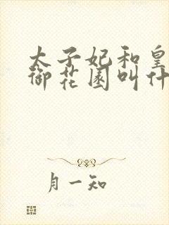 太子妃和皇帝在御花园叫什么小说封面