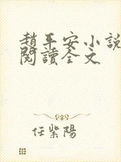 赵平安小说免费阅读全文