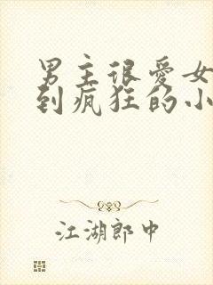 男主很爱女主爱到疯狂的小说封面