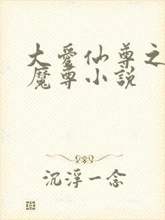 大爱仙尊之邪淫魔尊小说