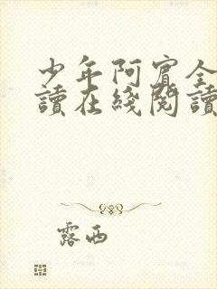 少年阿宾全文阅读在线阅读全文