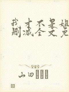 我才不是姐控无删减全文免费阅读
