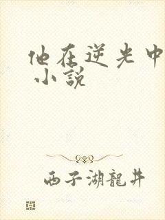 他在逆光中告白 小说