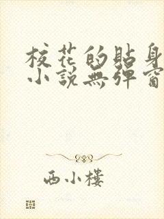校花的贴身高手小说无弹窗全文免费阅读