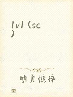 1v1 (sc)