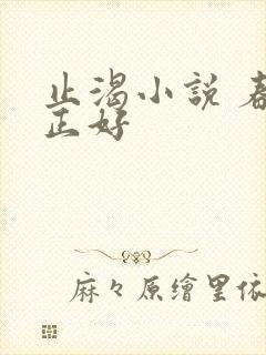 止渴小说 春光正好