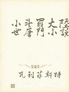 小斗罗大陆2绝世唐门小说封面
