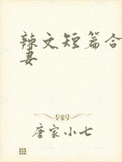辣文短篇合集夫妻