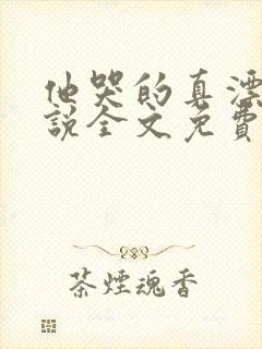 他哭的真漂亮小说全文免费阅读