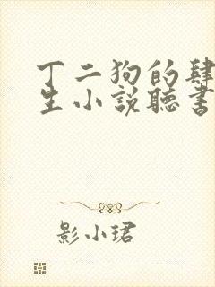 丁二狗的肆意人生小说听书