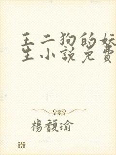 王二狗的妖孽人生小说免费阅读