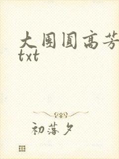 大团圆高芳小说txt