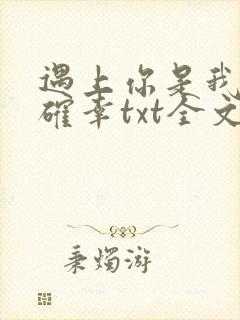 遇上你是我的小确幸txt全文下载