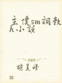 主仆sm调教高h小说封面
