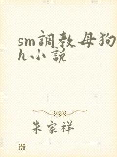 sm调教母狗高h小说