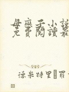 母恋子小说全文免费阅读最新章节封面