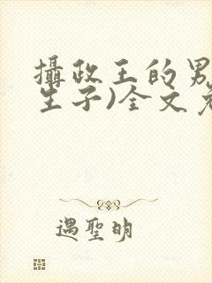摄政王的男妃(生子)全文免费阅读