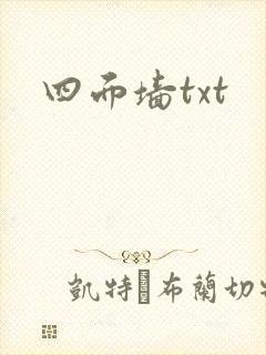 四面墙txt