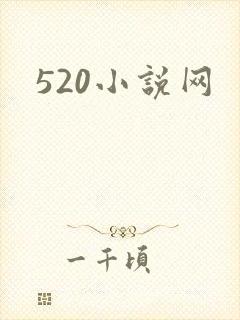 520小说网