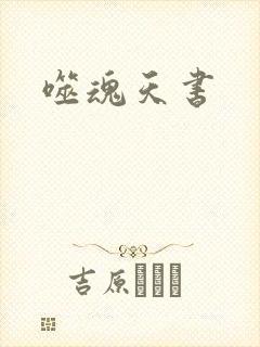 噬魂天书