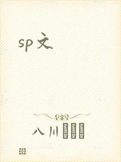 sp文封面