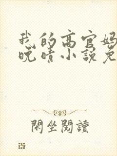 我的高官妈妈苏晚晴小说免费阅读