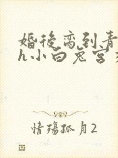 婚后脔到青梅哭h小白兔宫交h
