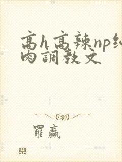 高h高辣np纯肉调教文封面