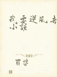 我要逆风去原著小说