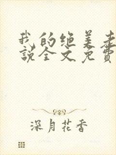 我的绝美老婆小说全文免费阅读