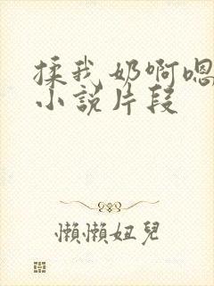 揉我奶啊嗯高潮小说片段封面