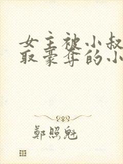 女主被小叔子强取豪夺的小说封面