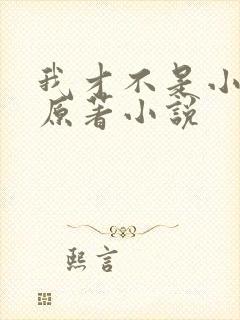 我才不是小可怜原著小说