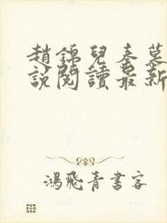 赵锦儿秦慕修小说阅读最新