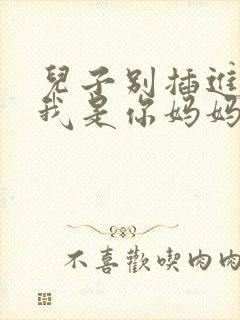 儿子别插进来,我是你妈妈小说