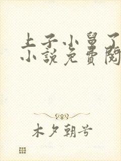 上子小舅了老婆小说免费阅读