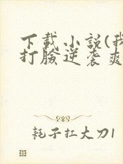 下载小说(我靠打脸逆袭爽文女主)