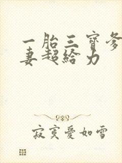 一胎三宝爹地宠妻超给力
