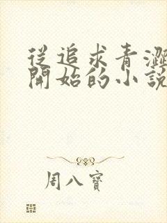 从追求青涩校花开始的小说