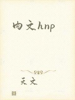肉文hnp