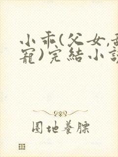 小乖(父女,甜宠)完结小说