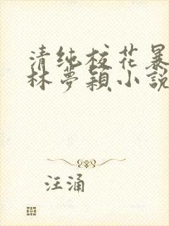 清纯校花暴露记林梦颖小说免费阅读封面