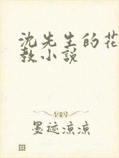 沈先生的花式管教小说